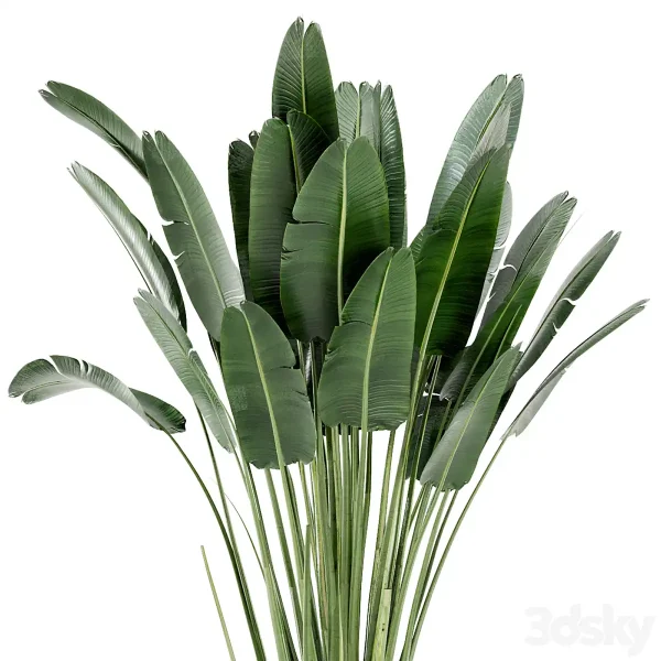 3DSky - Indoor Plants In Handmade Glazed Pot Set 190 - Image 2