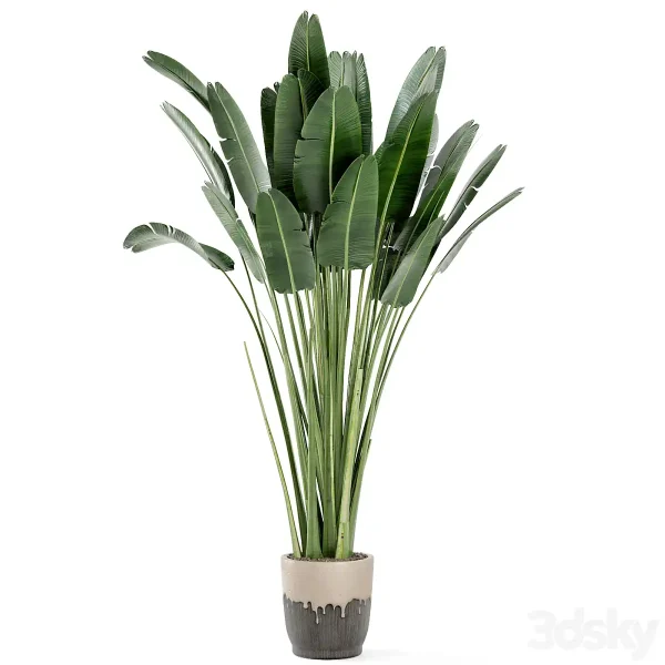 3DSky - Indoor Plants In Handmade Glazed Pot Set 190 - Image 4