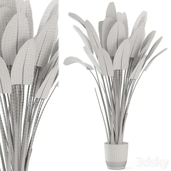 3DSky - Indoor Plants In Handmade Glazed Pot Set 190 - Image 5