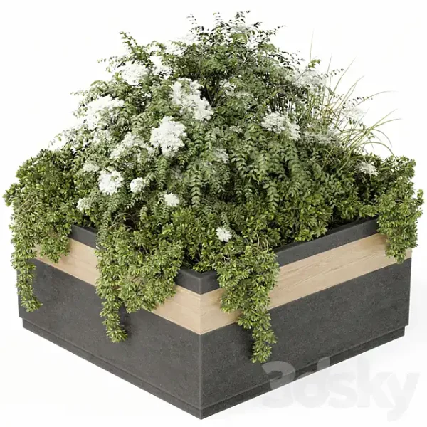 3DSky - Outdoor Plant Set 02