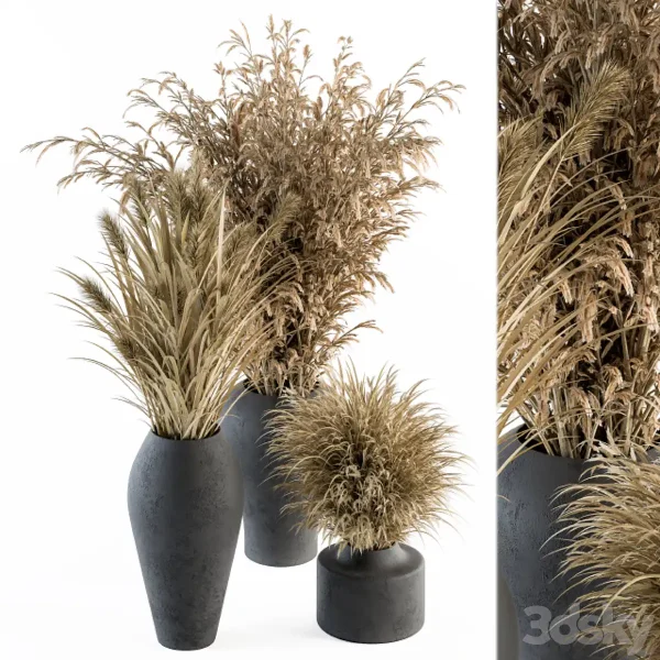 3DSky - Dry Plants 81 Dried Plants Set