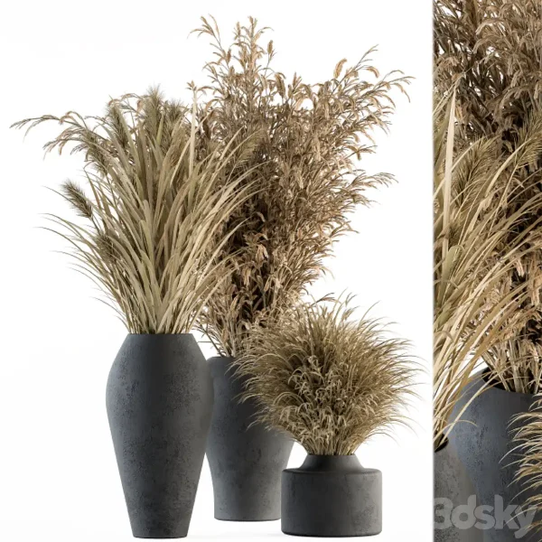 3DSky - Dry Plants 81 Dried Plants Set - Image 2
