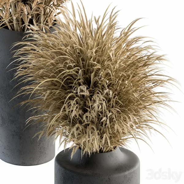 3DSky - Dry Plants 81 Dried Plants Set - Image 3