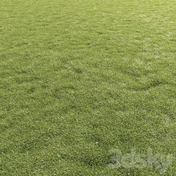 3DSky - Lawn Grass 01