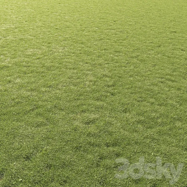 3DSky - Lawn Grass 01 - Image 2