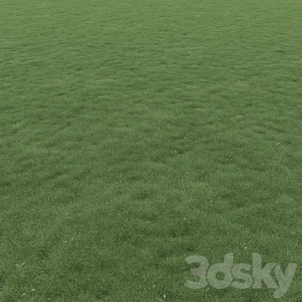 3DSky - Lawn Grass 01 - Image 3