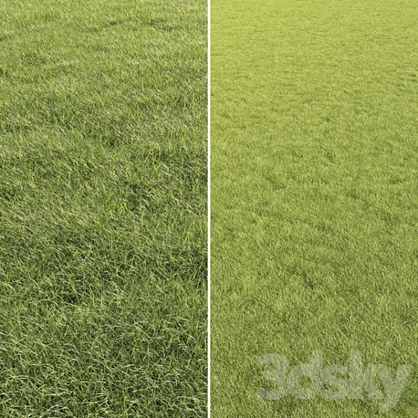 3DSky - Lawn Grass 01 - Image 4