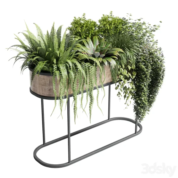3DSky - Collection Indoor Plant 116 Stand Pot Bax Wood