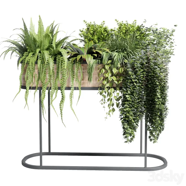 3DSky - Collection Indoor Plant 116 Stand Pot Bax Wood - Image 2