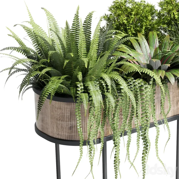 3DSky - Collection Indoor Plant 116 Stand Pot Bax Wood - Image 3