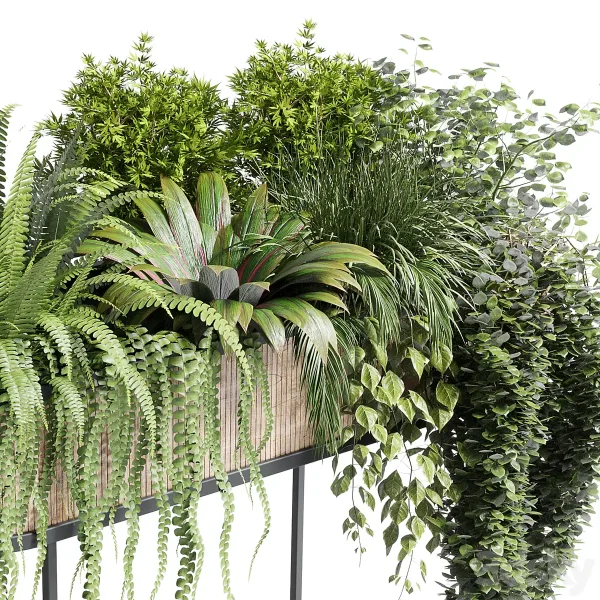 3DSky - Collection Indoor Plant 116 Stand Pot Bax Wood - Image 4