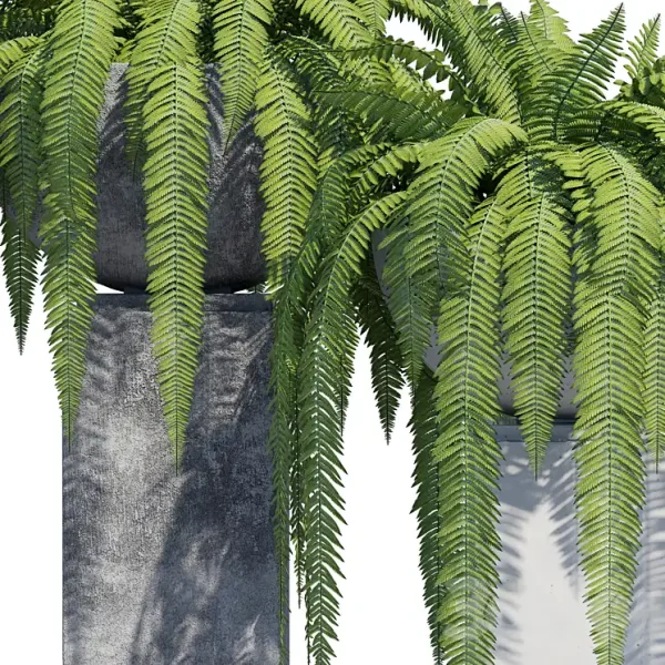 3DSky - Modern Planter - Image 2