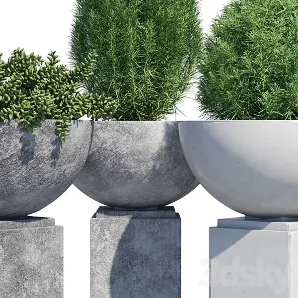 3DSky - Modern Planter - Image 3