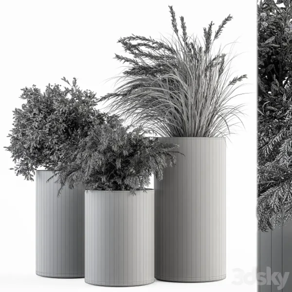 3DSky - Outdoor Plant Set 292 - Image 4