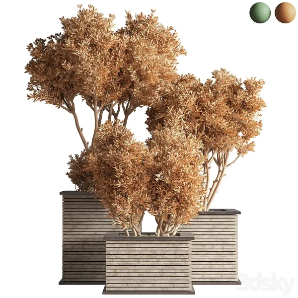 3DSky - Outdoor Plants Tree 22