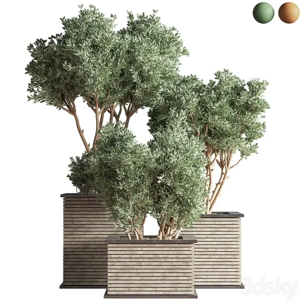 3DSky - Outdoor Plants Tree 22 - Image 2
