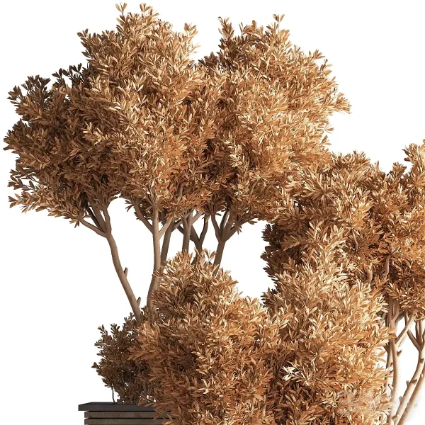 3DSky - Outdoor Plants Tree 22 - Image 3