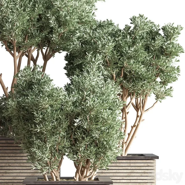 3DSky - Outdoor Plants Tree 22 - Image 4