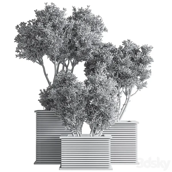 3DSky - Outdoor Plants Tree 22 - Image 5