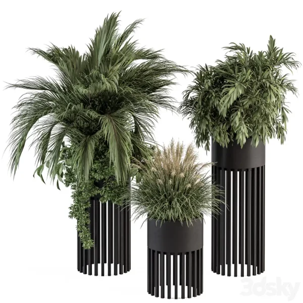 3DSky - Indoor Plant Set 301 Plant Set In Round Stand Black Pot