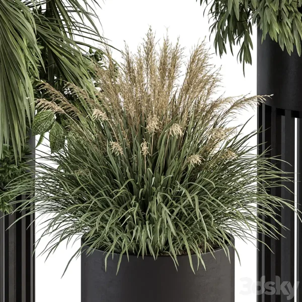 3DSky - Indoor Plant Set 301 Plant Set In Round Stand Black Pot - Image 2