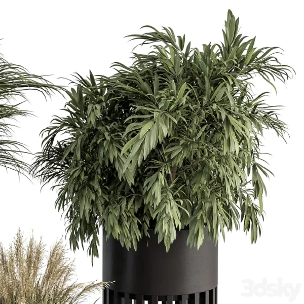 3DSky - Indoor Plant Set 301 Plant Set In Round Stand Black Pot - Image 3