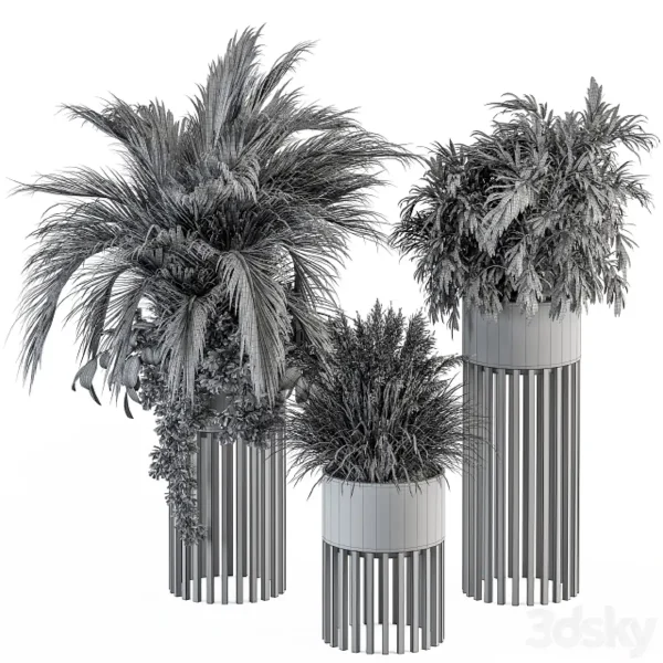 3DSky - Indoor Plant Set 301 Plant Set In Round Stand Black Pot - Image 4