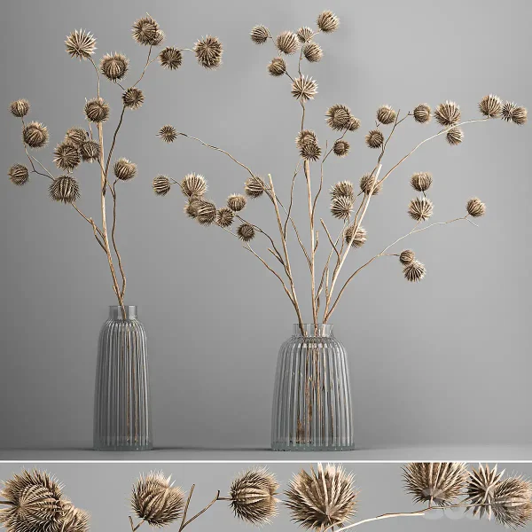 3DSky - Bouquet Of Dried Flowers In A Vase With Branches Of Dry Thorns Thistle 182