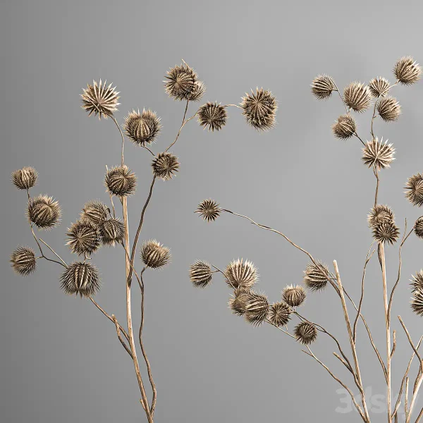 3DSky - Bouquet Of Dried Flowers In A Vase With Branches Of Dry Thorns Thistle 182 - Image 3