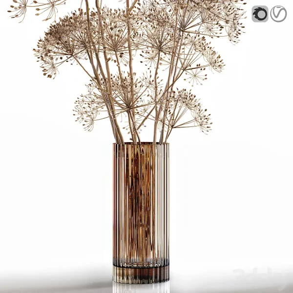 3DSky - Dry Flowers 7 Heracleum - Image 3