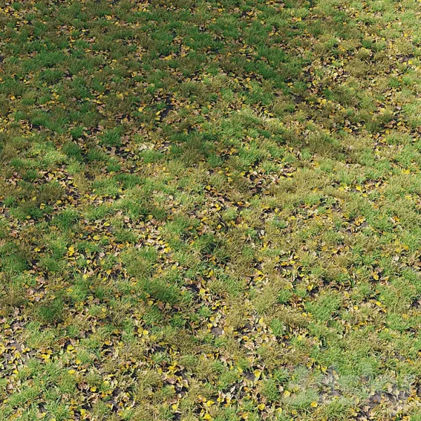 3DSky - Autumn Grass 01