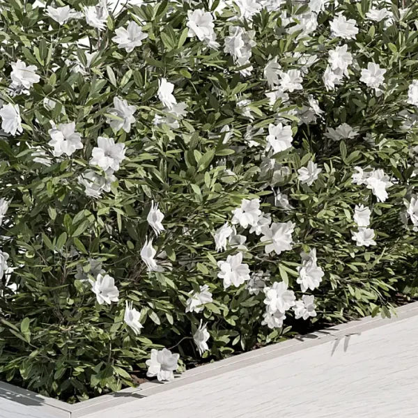 3DSky - Outdoor Plant Set 304 Plant Box - Image 2