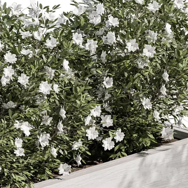 3DSky - Outdoor Plant Set 304 Plant Box - Image 3
