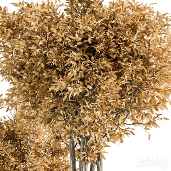 3DSky - Outdoor Plant Set 322 Autumn Plant and Tree Set - Image 4