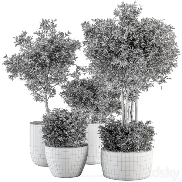 3DSky - Outdoor Plant Set 322 Autumn Plant and Tree Set - Image 5