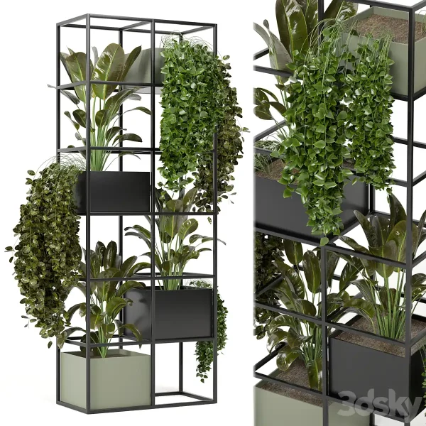 3DSky - Indoor Plants In Rusty Concrete Pot On Metal Shelf Set 122