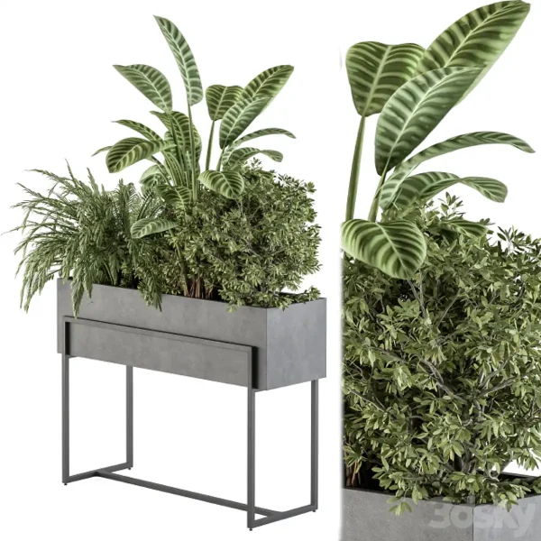 3DSky - Indoor Plant Set 321 Plant Set In Black Box
