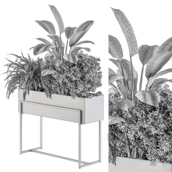3DSky - Indoor Plant Set 321 Plant Set In Black Box - Image 3