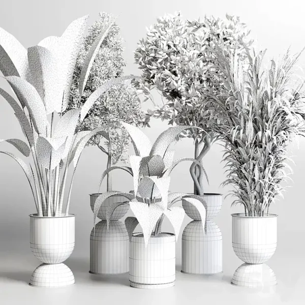3DSky - Collection Indoor Plant 156 - Image 4