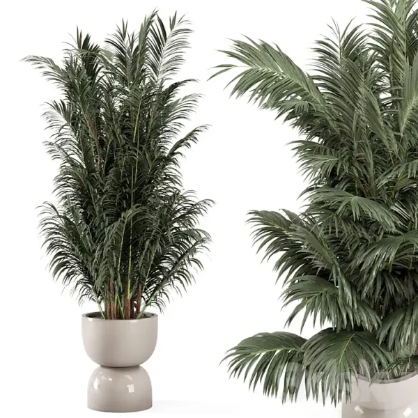 3DSky - Indoor Plants in Rusty Concrete Pot Set 352