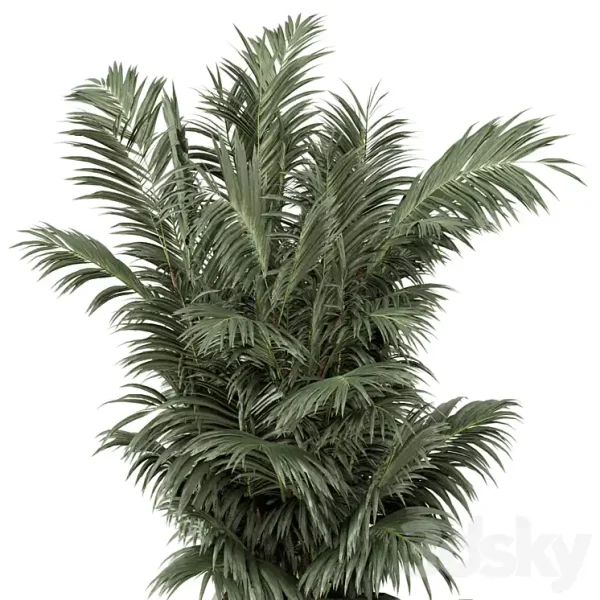 3DSky - Indoor Plants in Rusty Concrete Pot Set 352 - Image 3