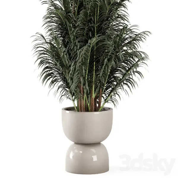 3DSky - Indoor Plants in Rusty Concrete Pot Set 352 - Image 2