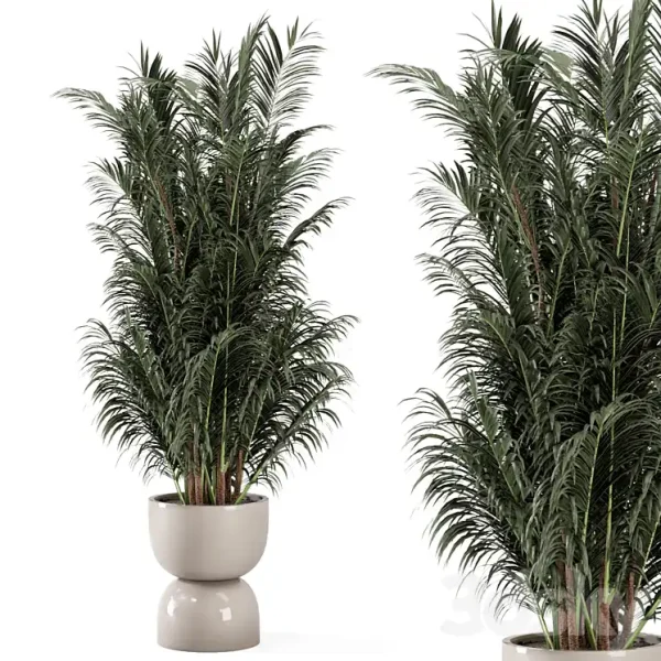 3DSky - Indoor Plants in Rusty Concrete Pot Set 352 - Image 4