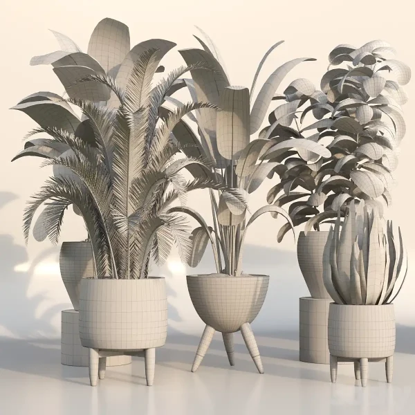 3DSky - bamboo Censoria Indoor Plant Set 01 - Image 5