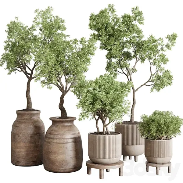 3DSky - Wood Collection Indoor Outdoor Plant 141