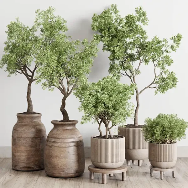 3DSky - Wood Collection Indoor Outdoor Plant 141 - Image 2