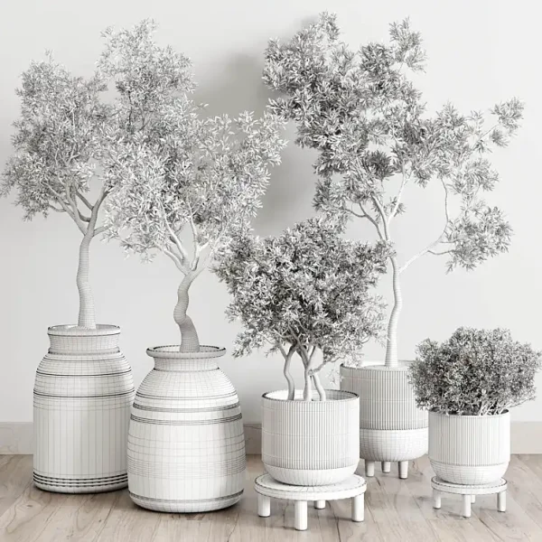 3DSky - Wood Collection Indoor Outdoor Plant 141 - Image 5