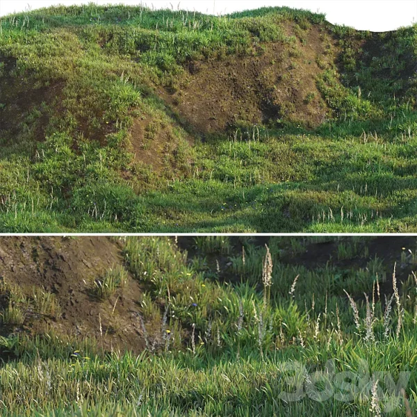 3DSky - Grass on the Slope