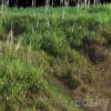 3DSky - Grass on the Slope - Image 3
