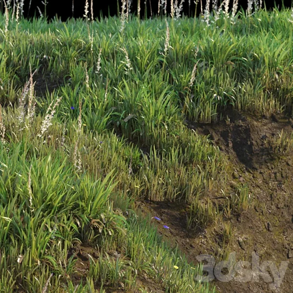 3DSky - Grass on the Slope - Image 3